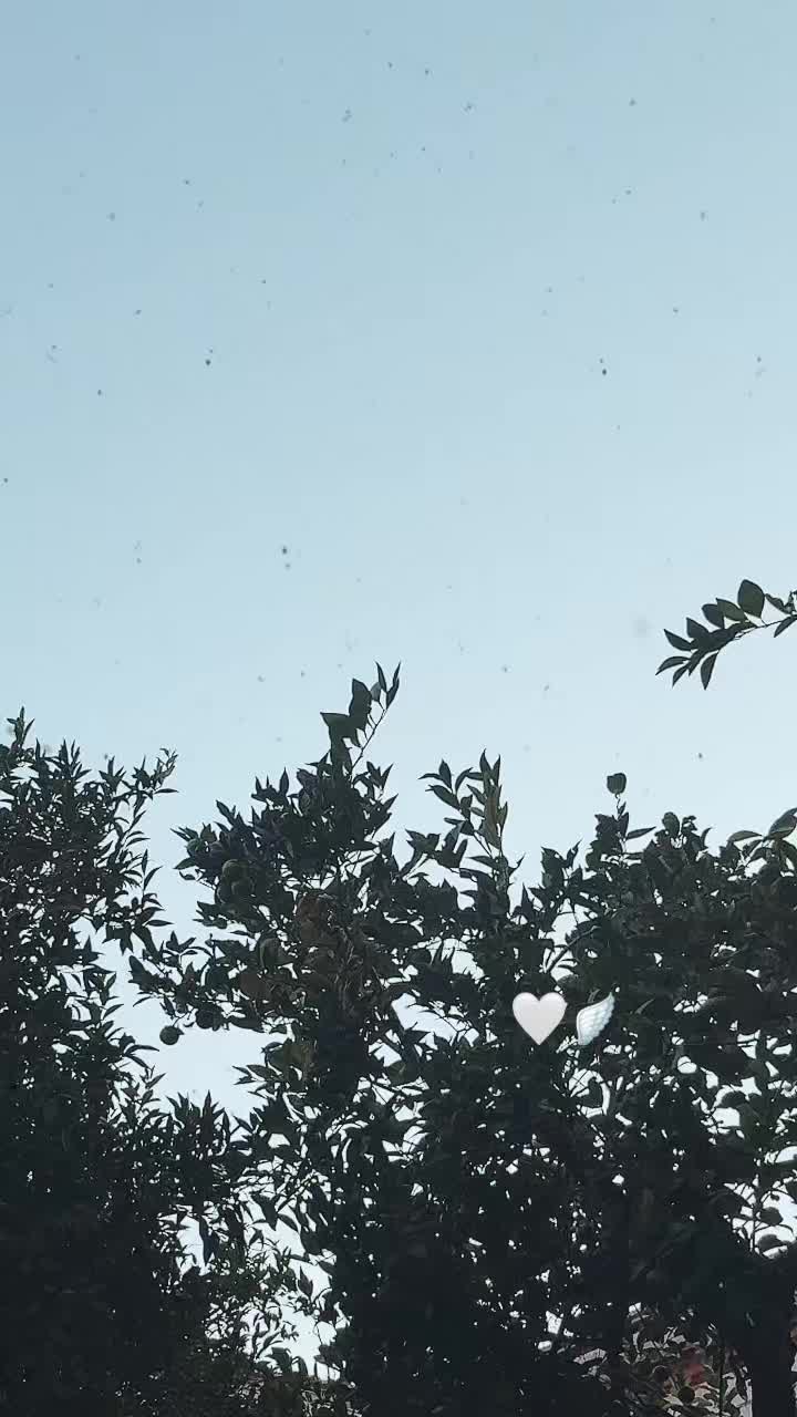 @🦋 N̴a̴n̴a̴'̴T̴e̴s̴t̴a̴ 🦋