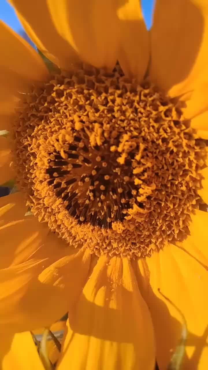 @Jaskółeczka 💫💫💫💫