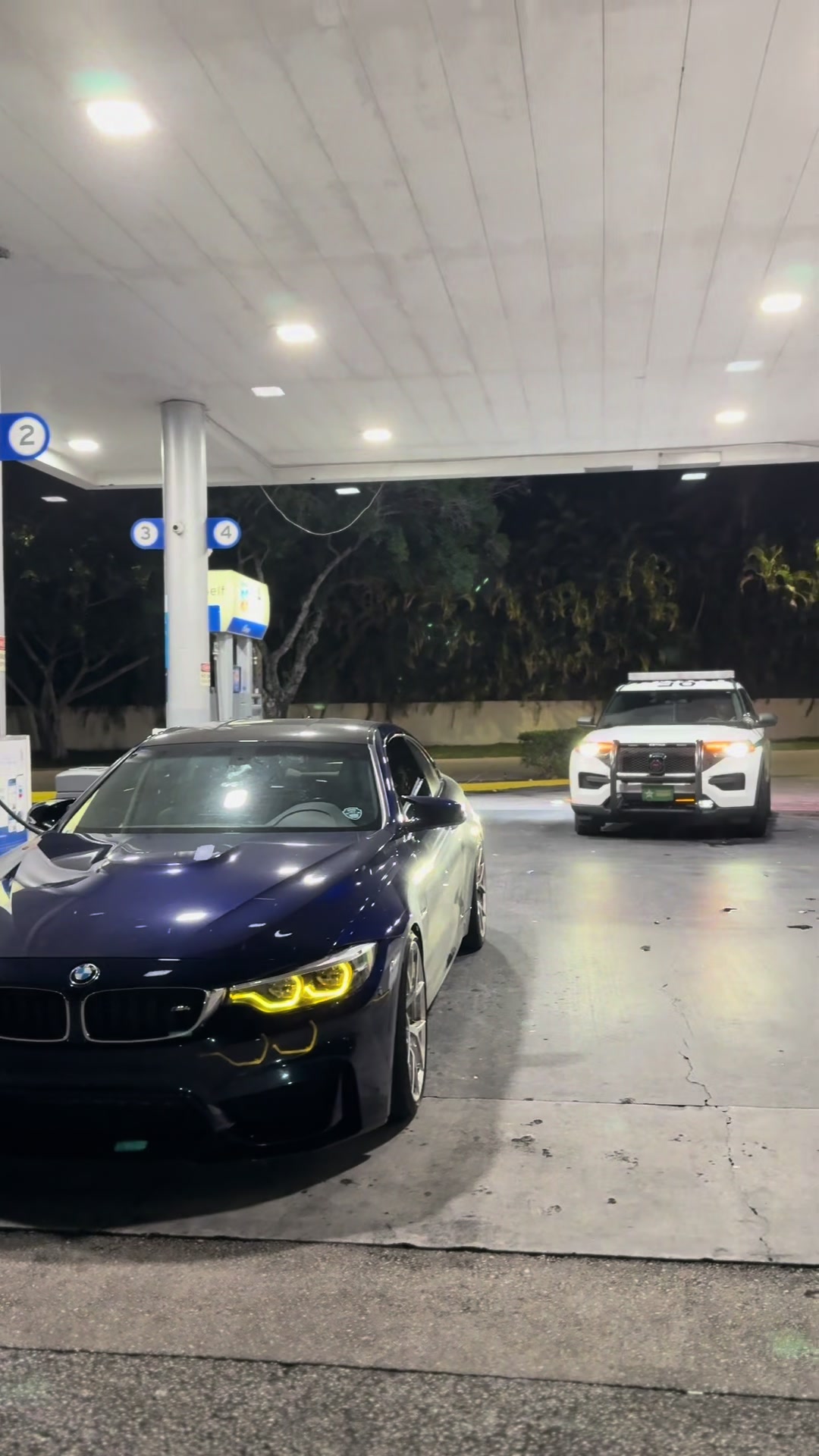 @m4rphy
