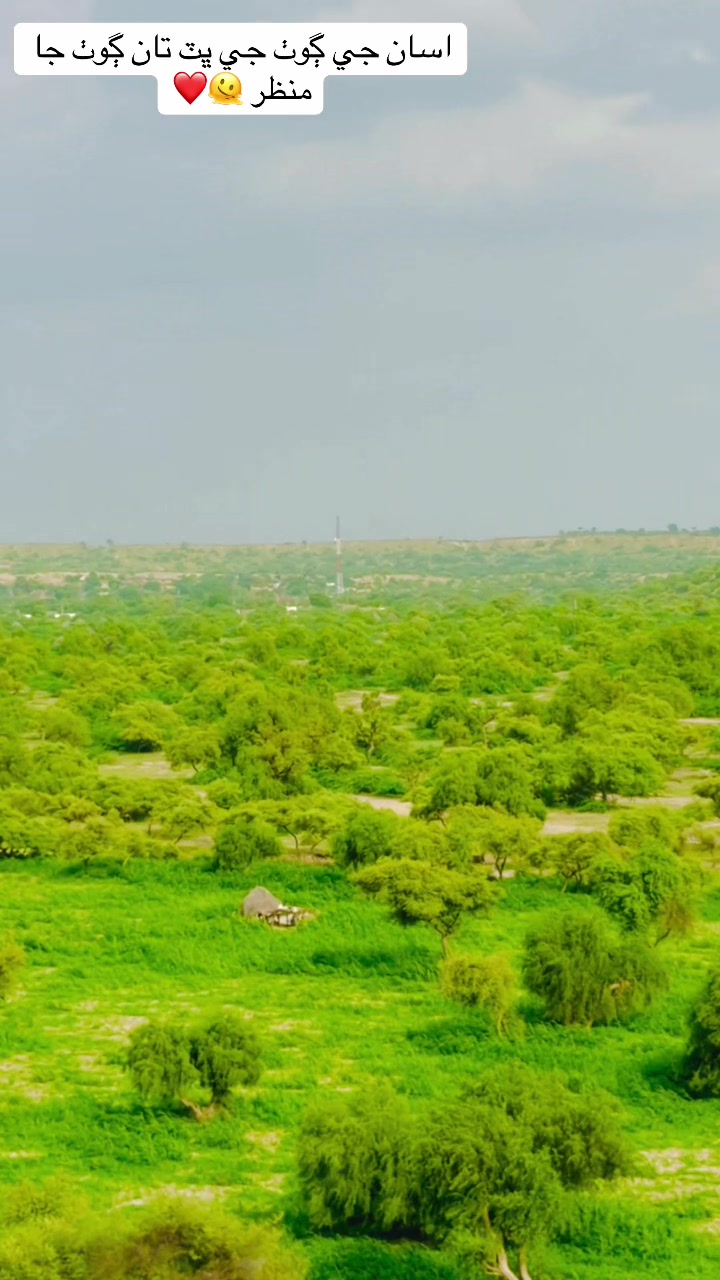 @๐ซ๐ซ NAVEED BALOCH โก๏ธ๐ธ๐ฅ