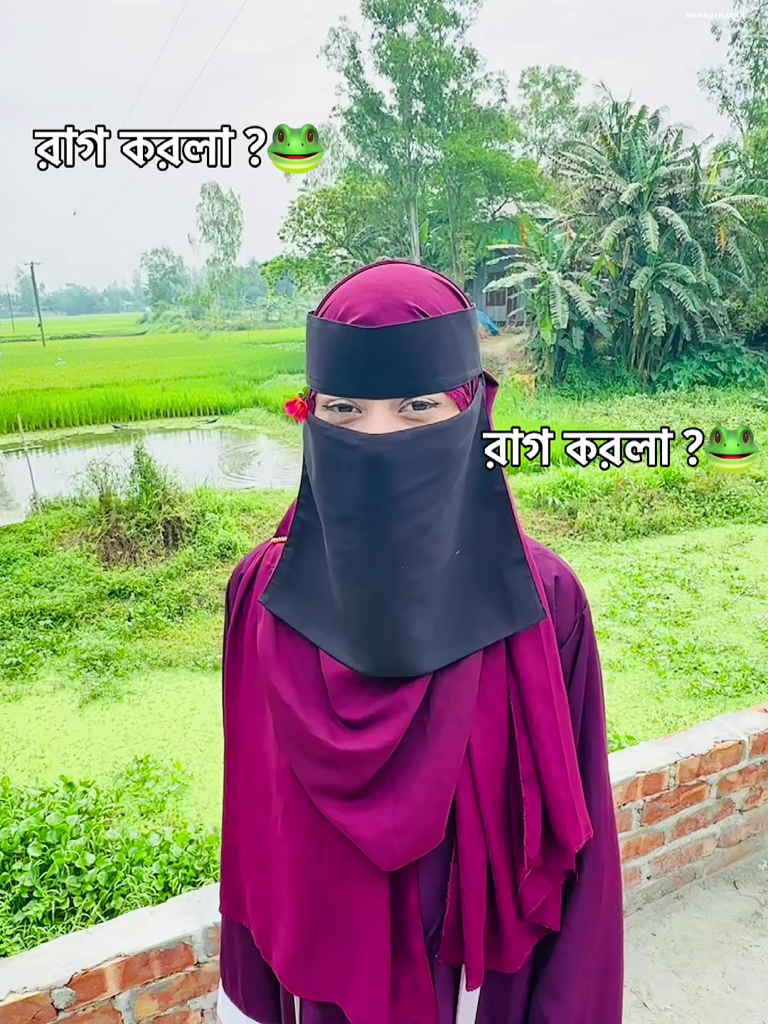 @🕊️