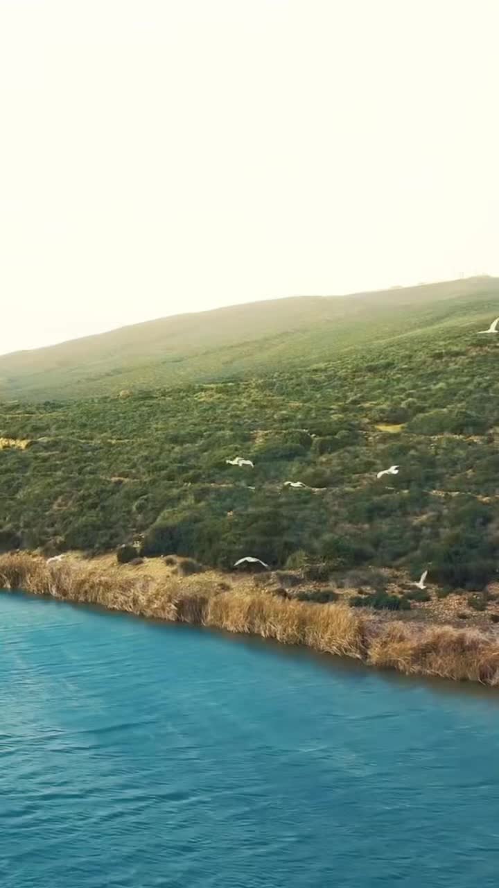 @Stars Tunis ⭐️ نجوم تونس