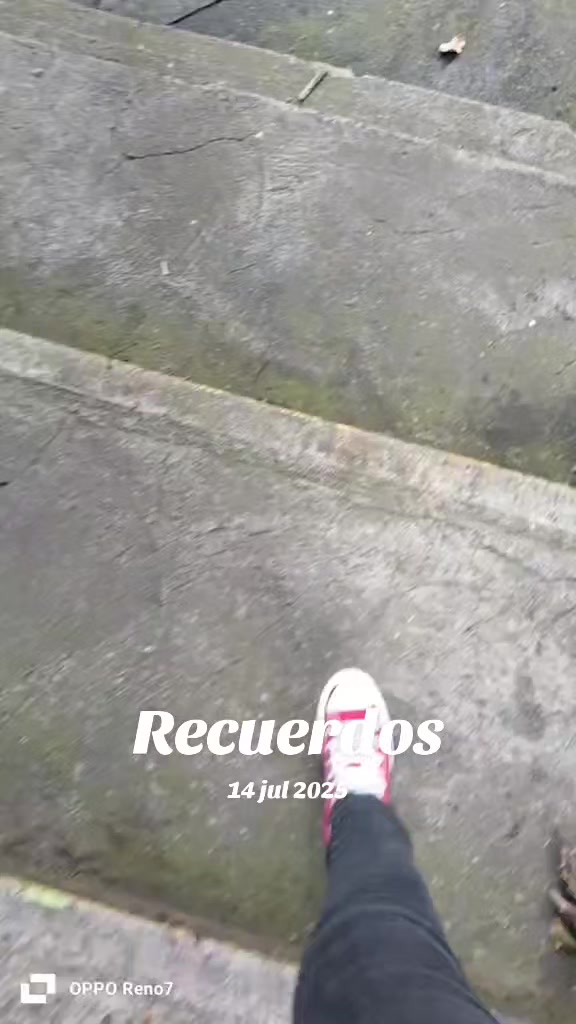 @misigc