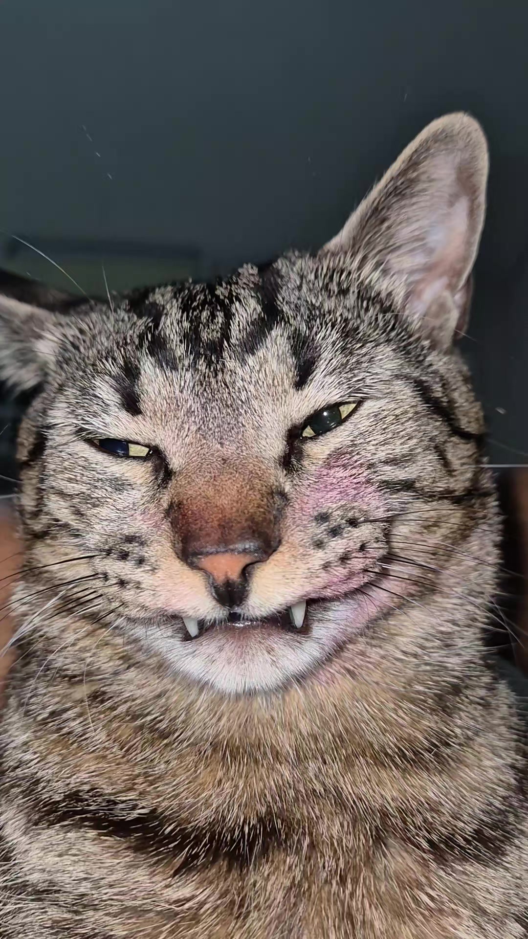 @Mushu