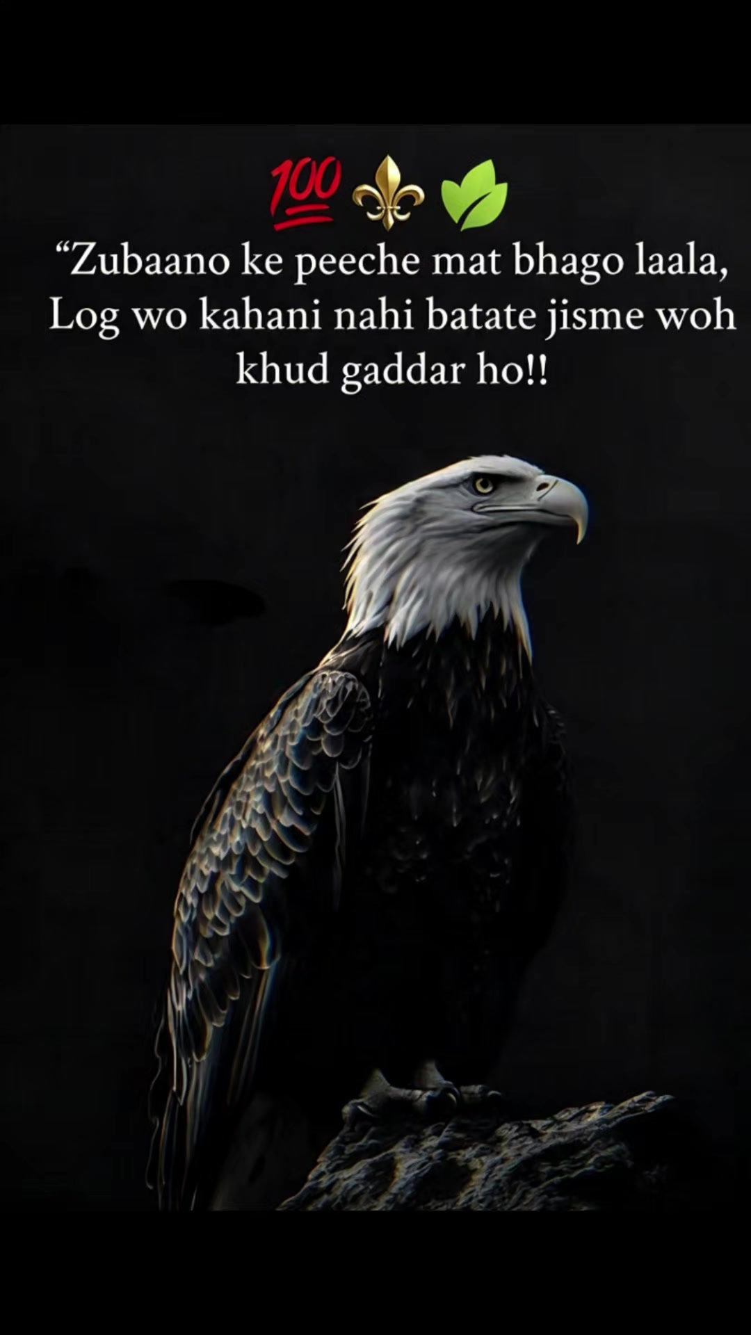 @🌸shayri.k🌸