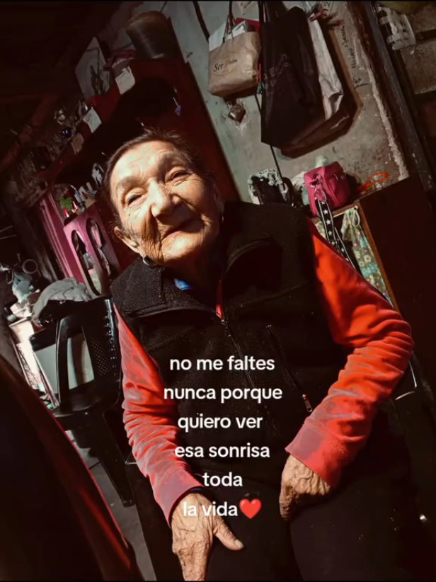 @𝓶𝓲𝓲𝓬𝓪 𝓽𝓸𝓵𝓸𝔃𝓪 🦋