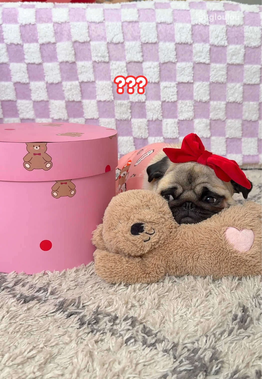 @Loulou the Pug