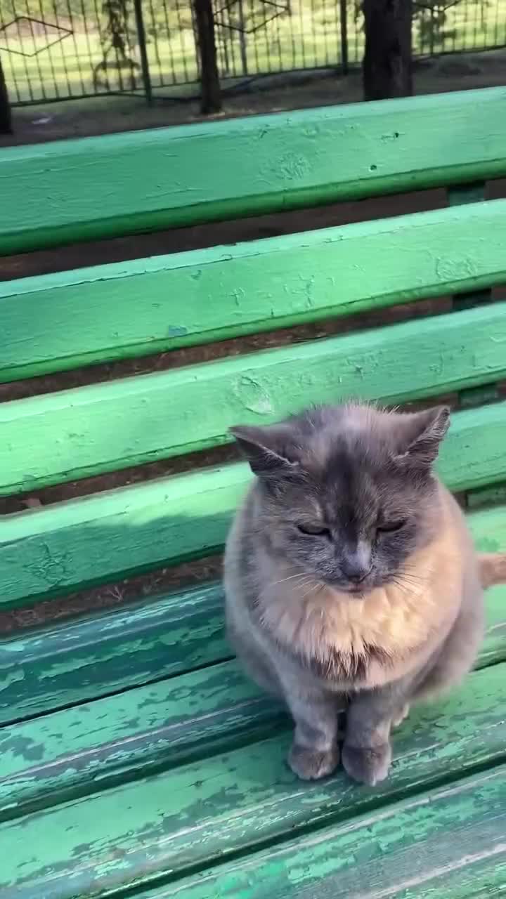 @Катрина