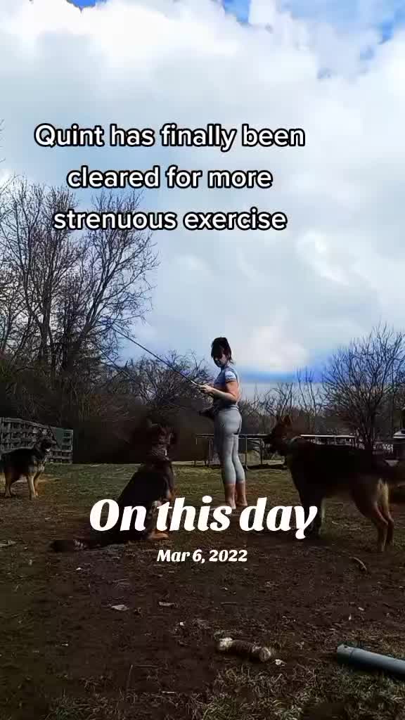 @shotgunJenny