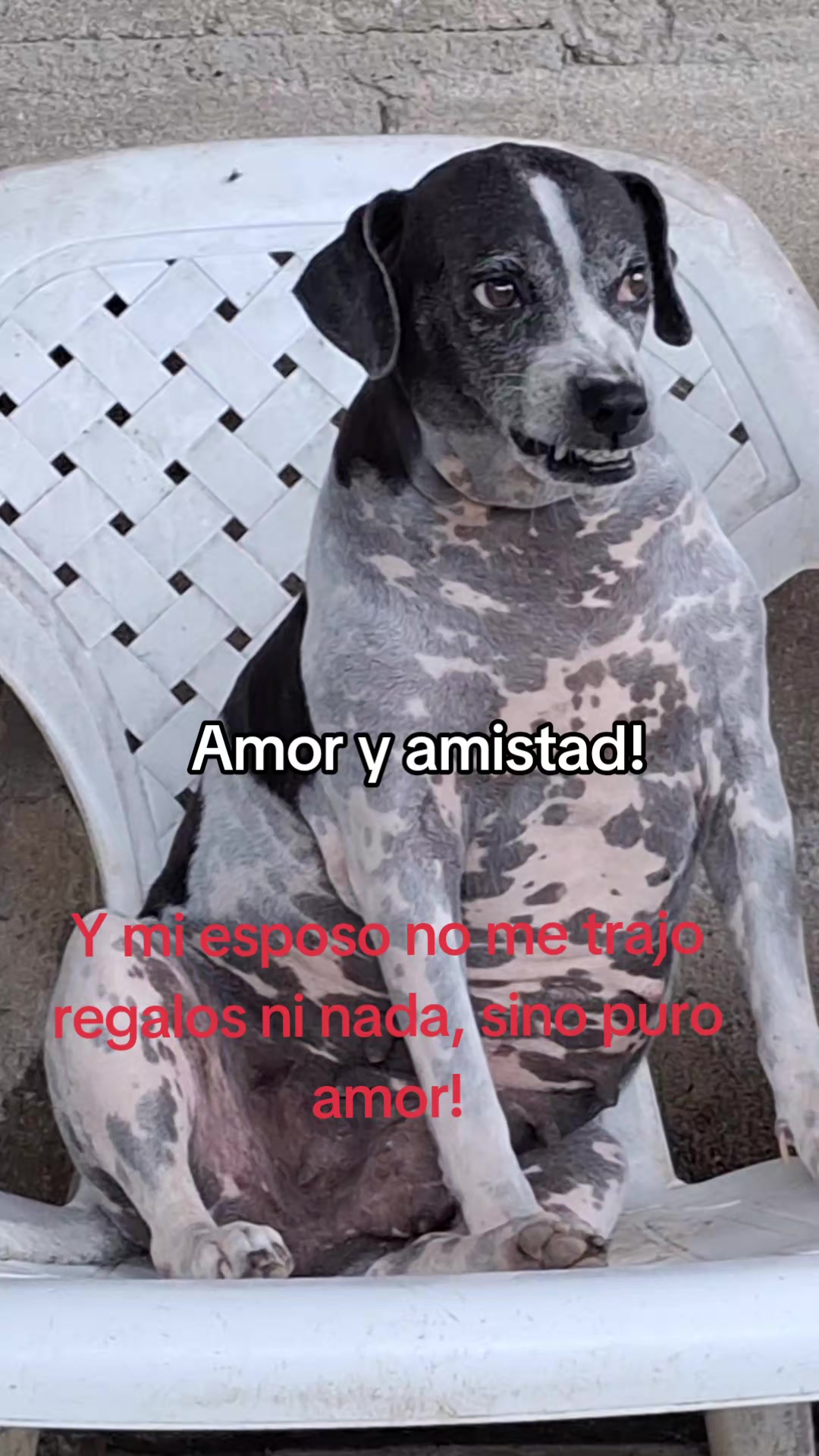 @MANCHAS 0714 OFICIAL