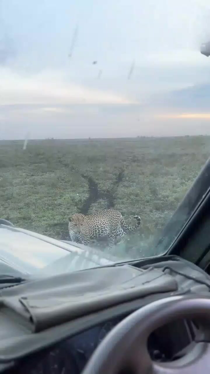 @David_Nature_Africa