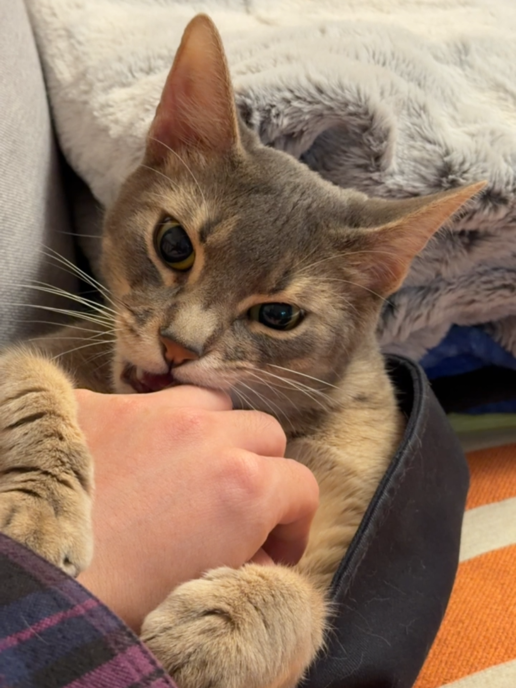 @𝙅𝙖𝙢𝙞𝙡밀💖🐱