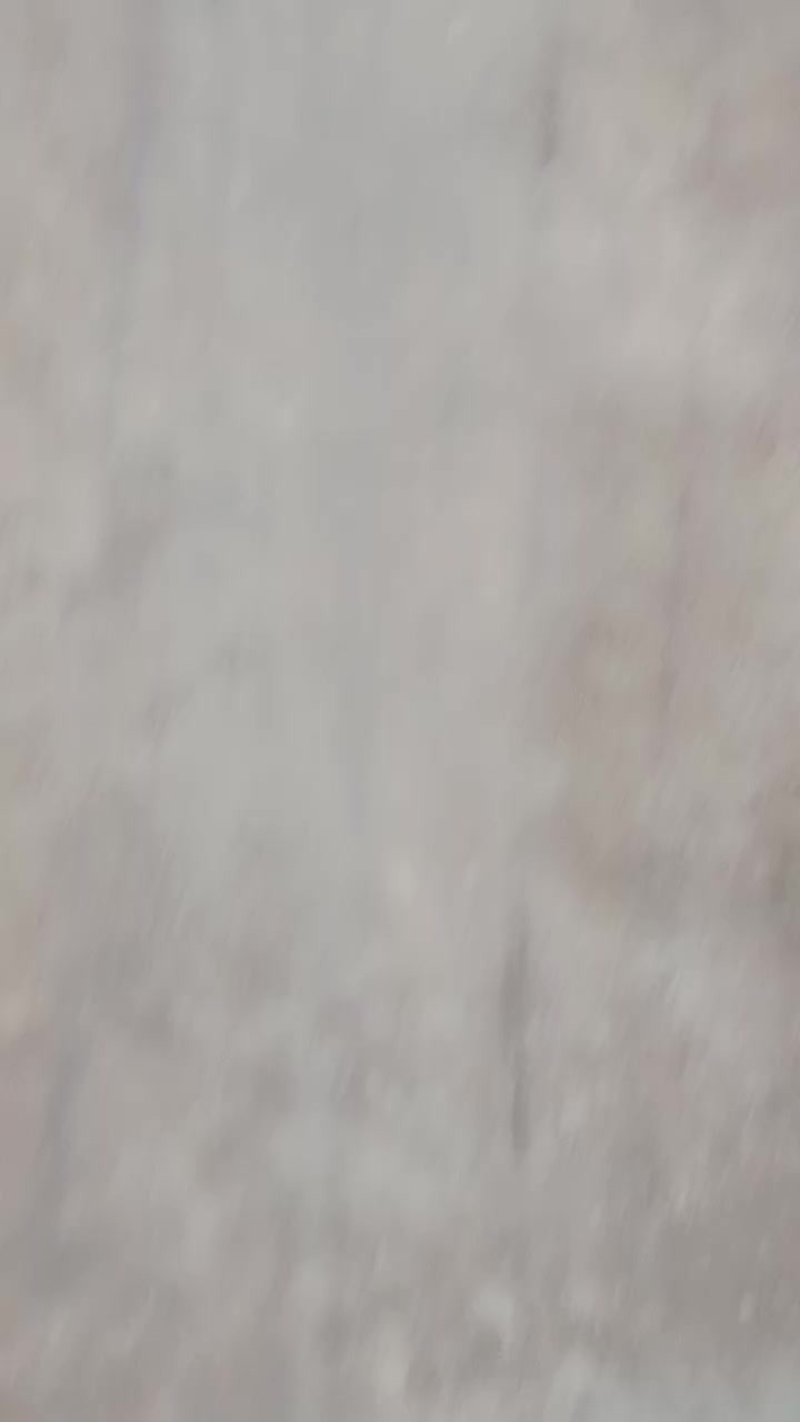 @md tafrealam
