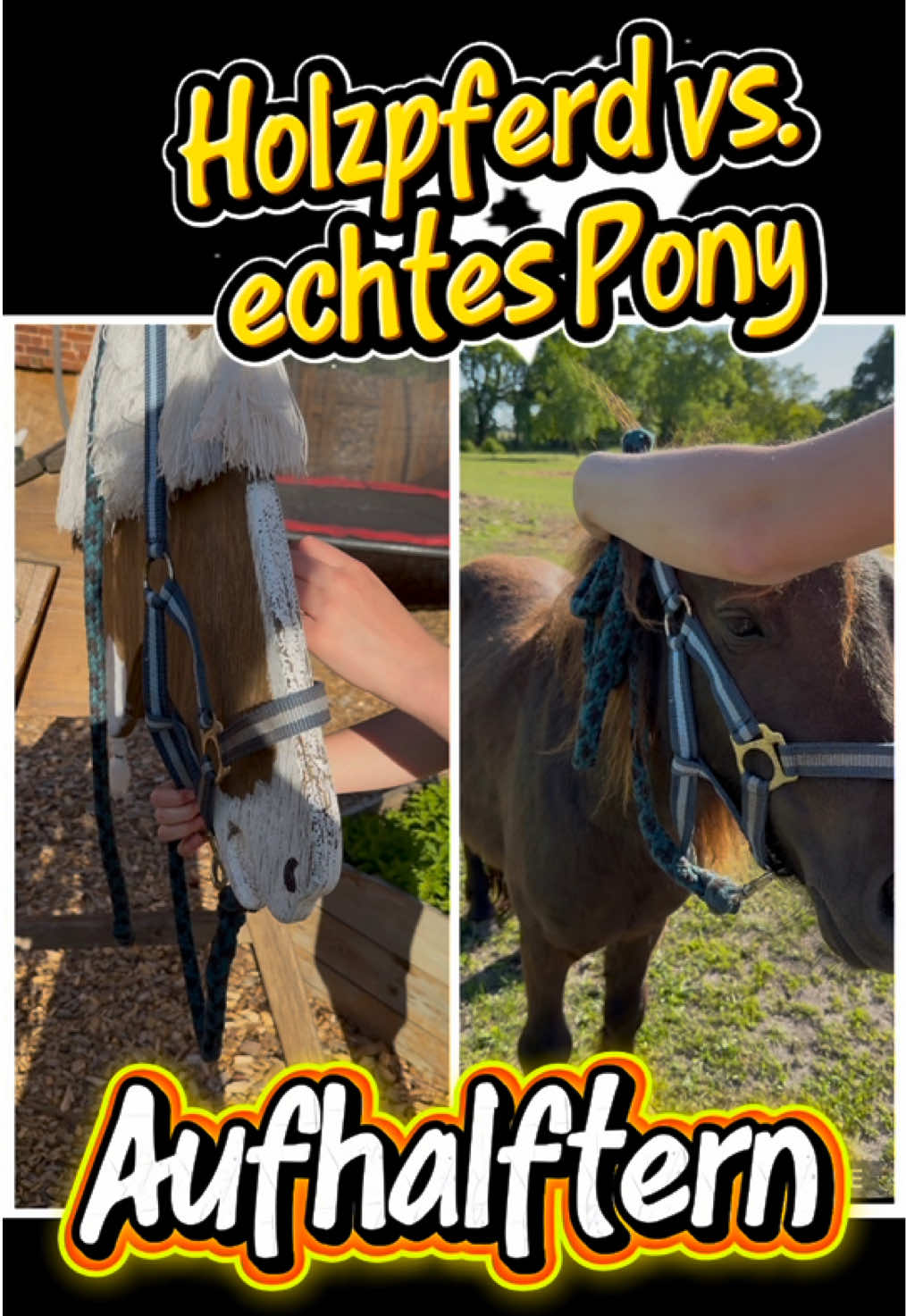 @kht_horselife