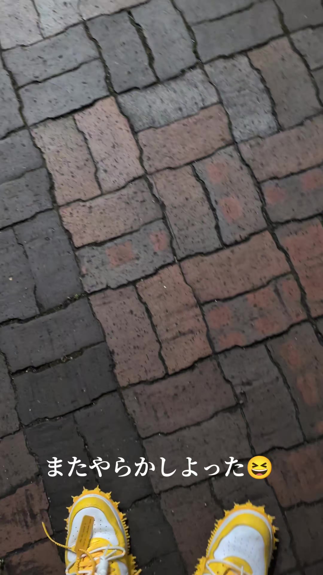 @koichi.m8