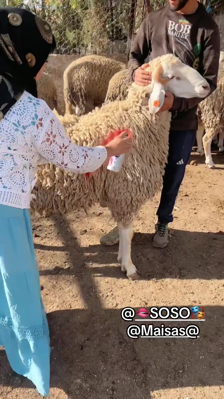 @sabrina Derkaoui