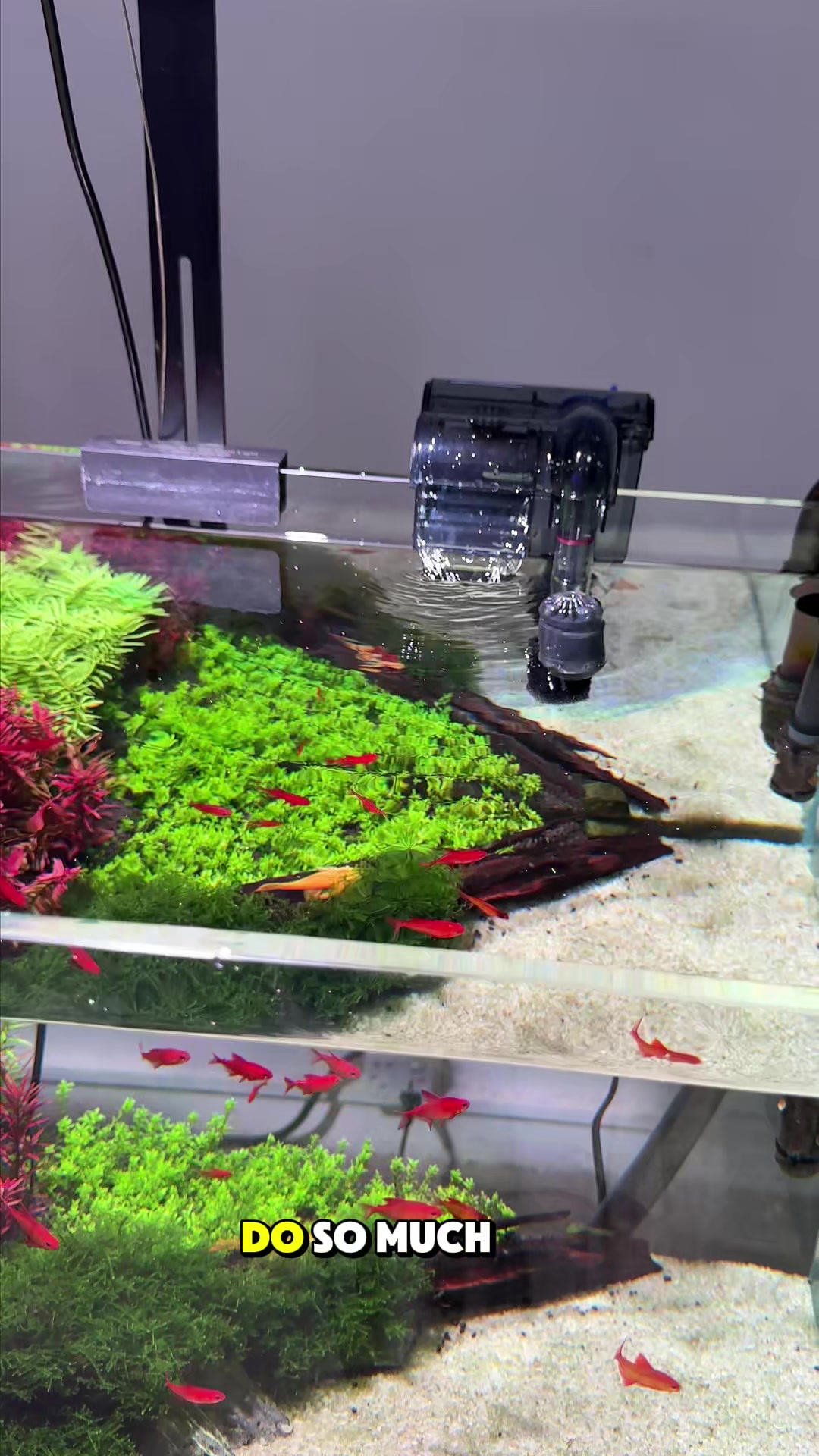 @AQQA Aquarium Store