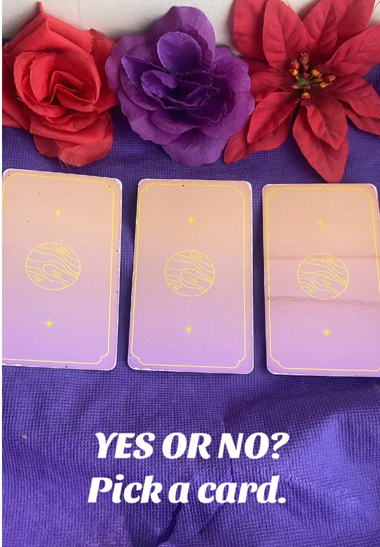 @Lavender Goddess Tarot 🔮