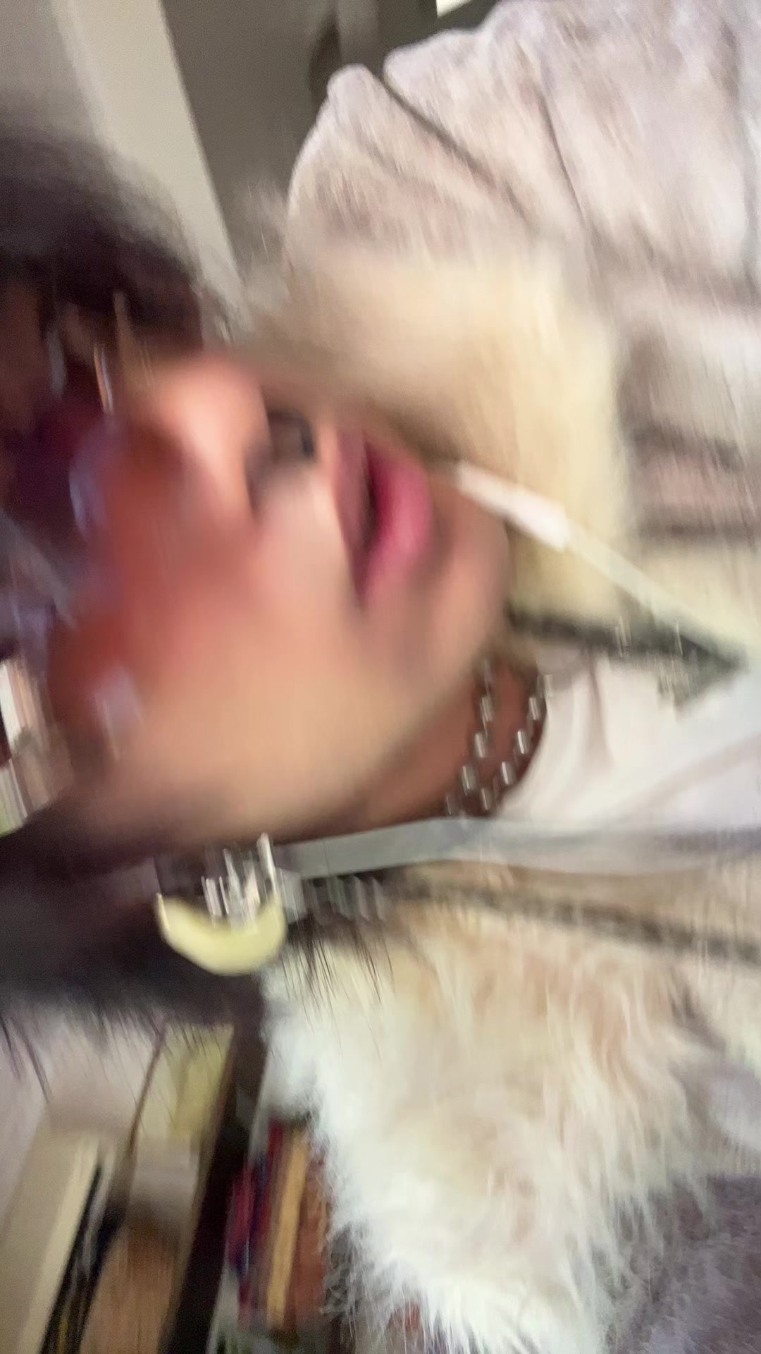 @PillowHugger
