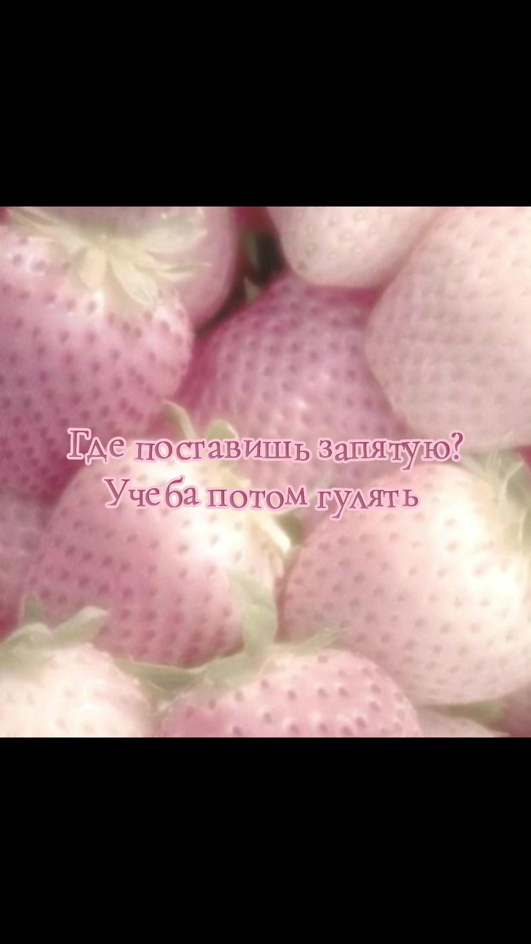@katie🪽🦢