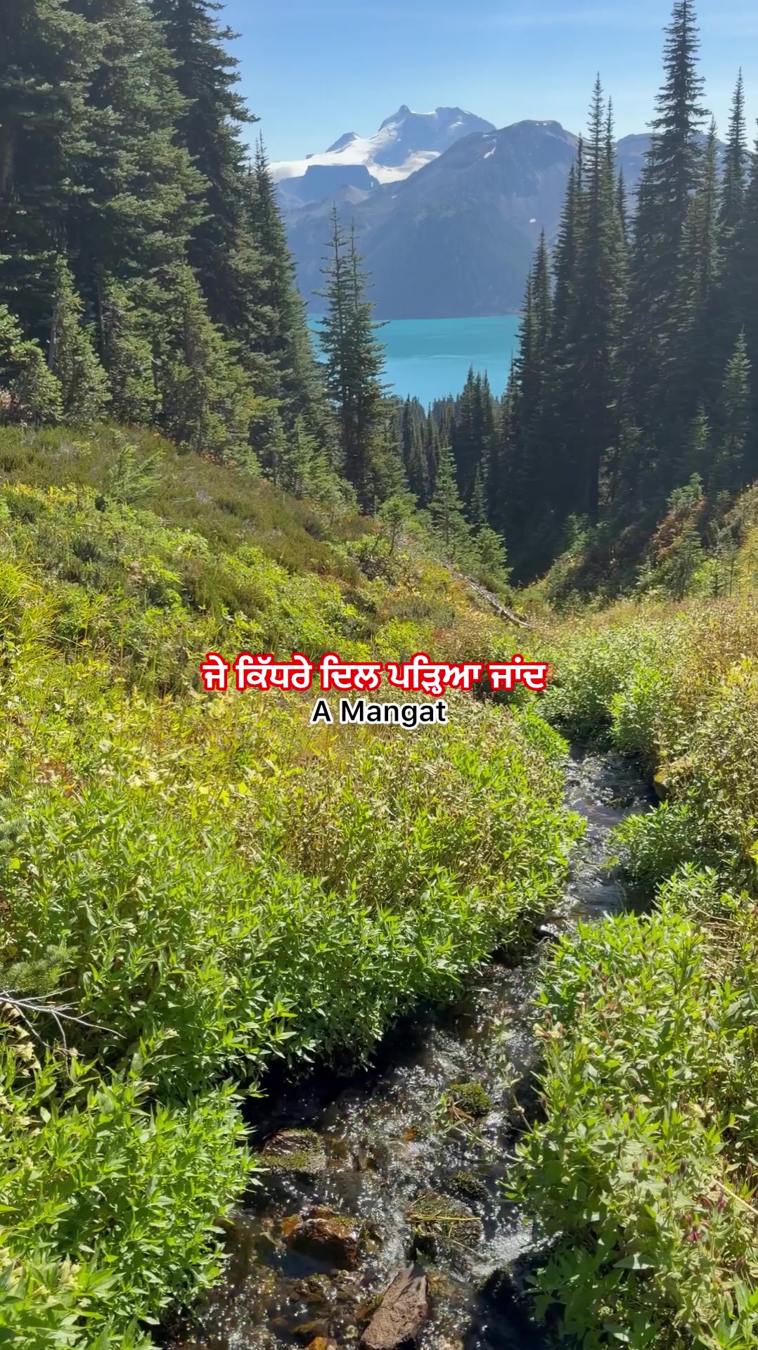 @A Mangat
