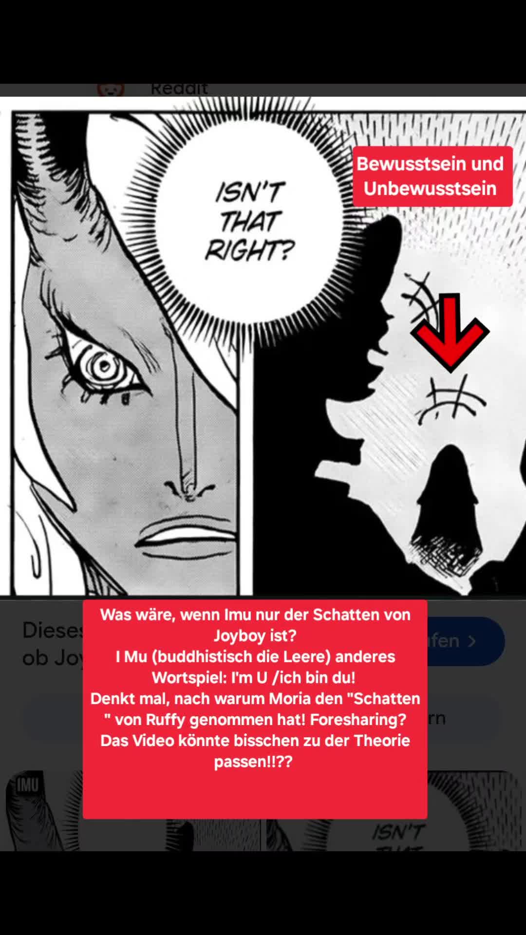 @🏴☠️🩶StimmeAllerDinge🩶🏴☠️