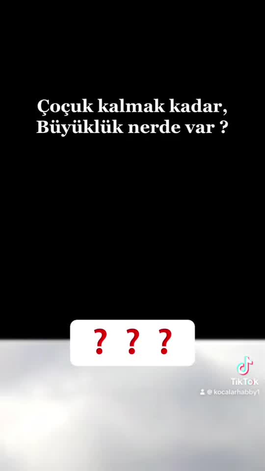 @Biricik Habby