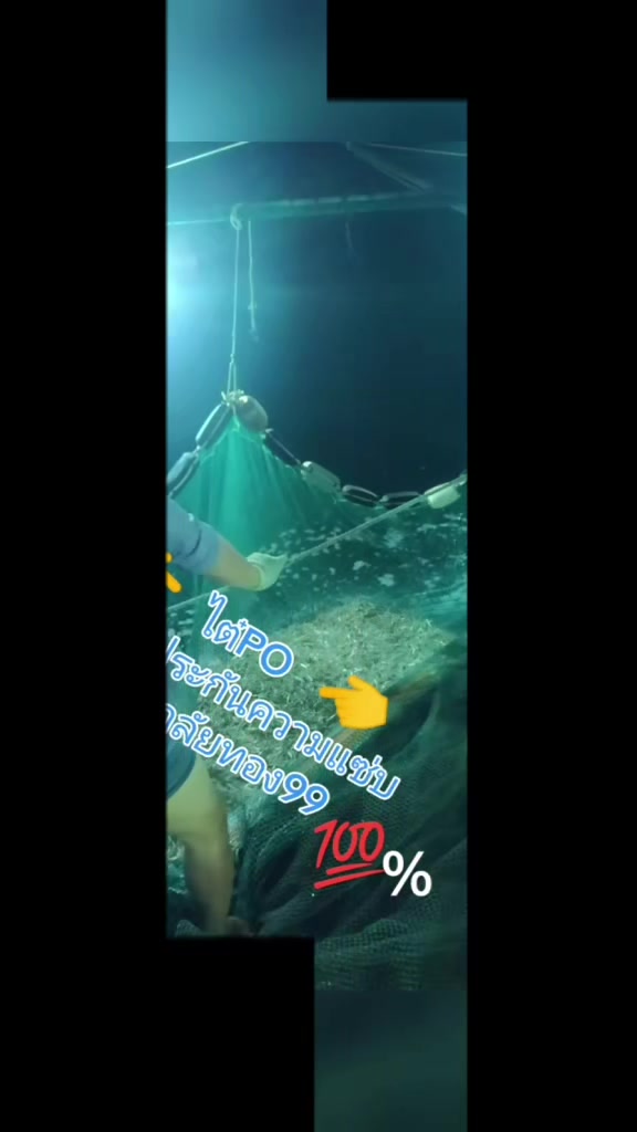 @Anas Tamaraksa