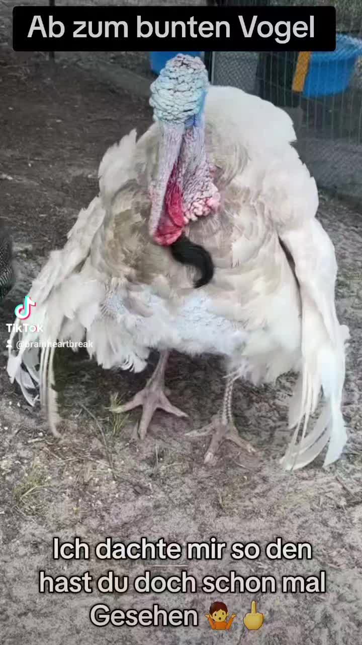 @ߠҢᏅԠⲀ&Scaron;