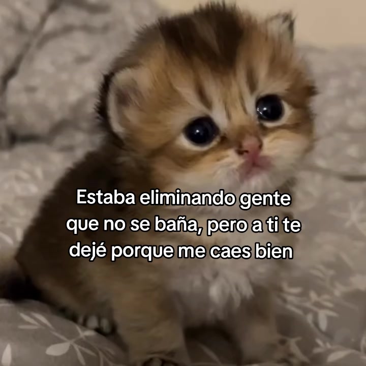 @goodvibessxd