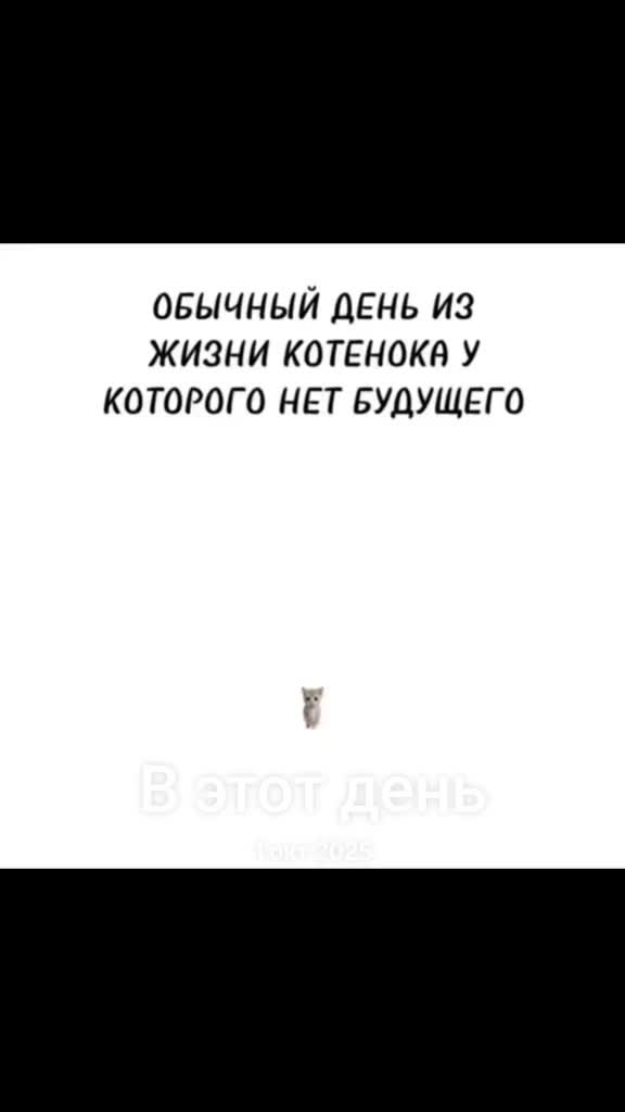 @sir kochka