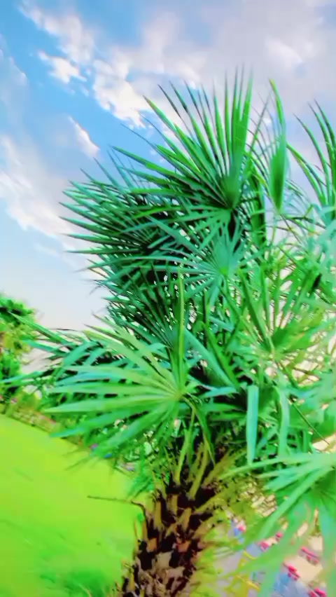 @الطاف خان شہباز خیل
