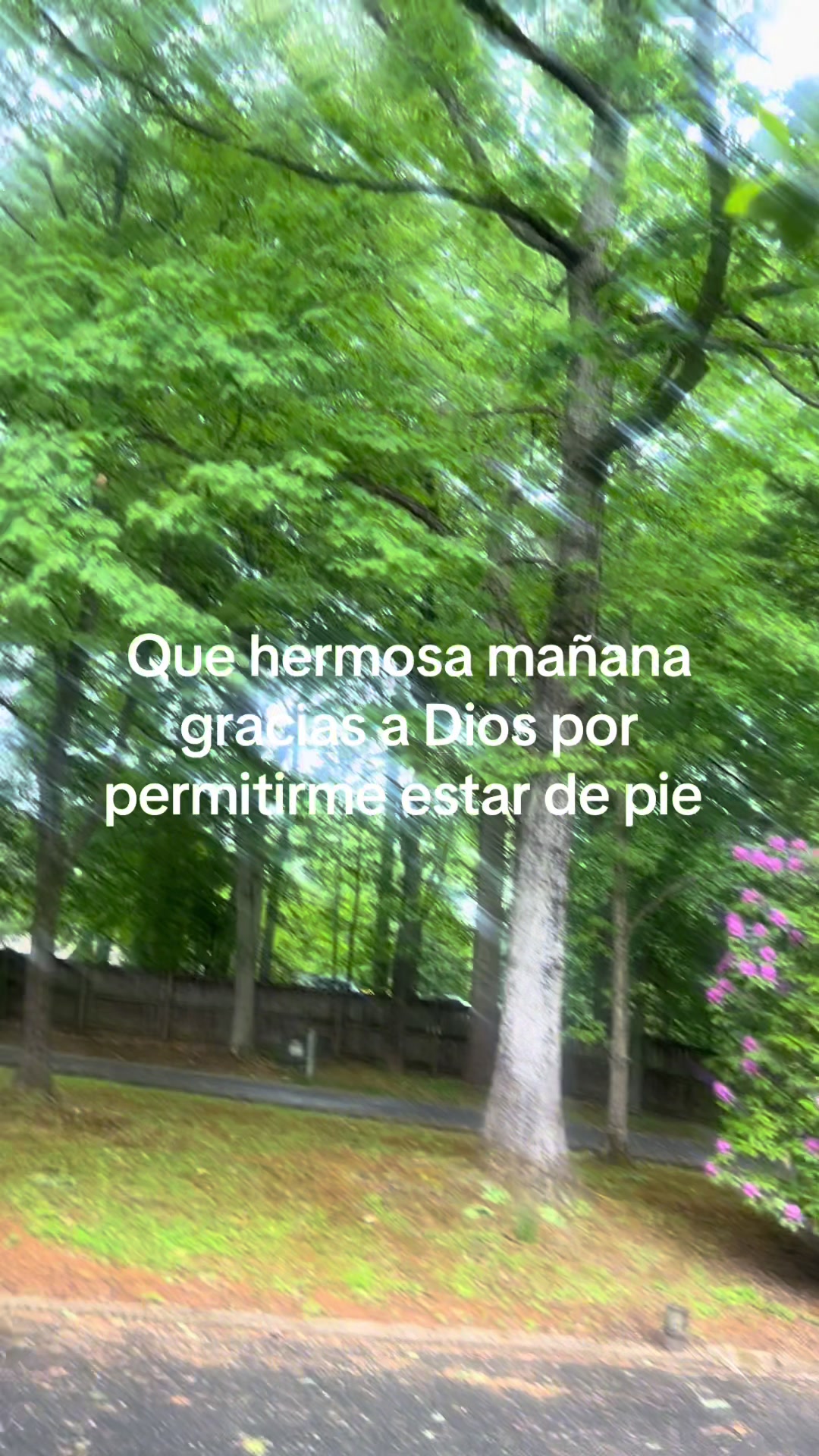 @Cristina