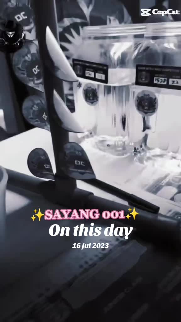 @𝖘𝖎𝖙𝖎𝖘𝖆𝖑𝖊𝖍𝖆 🥀