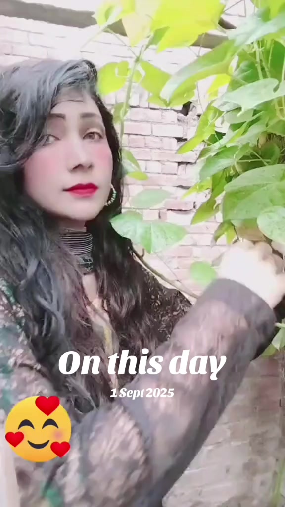 @FAiza sheikh 259