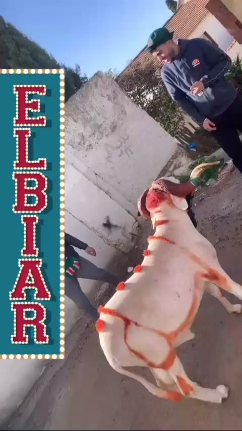 @Simbaa๐ฅ๐