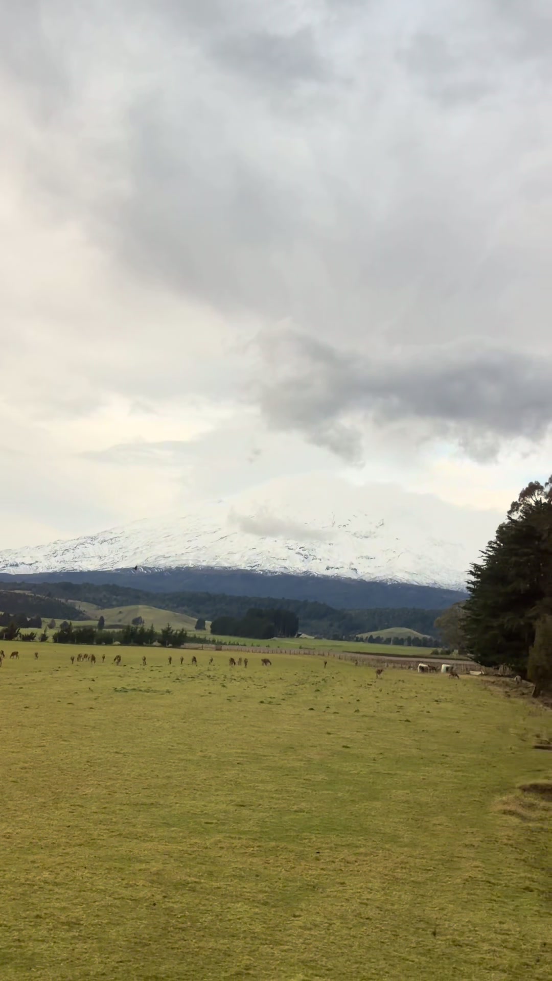 @Angel💙M🇵🇭🇳🇿