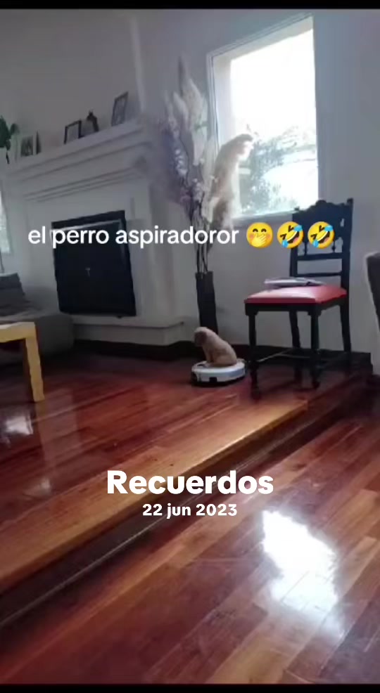 @CARO B