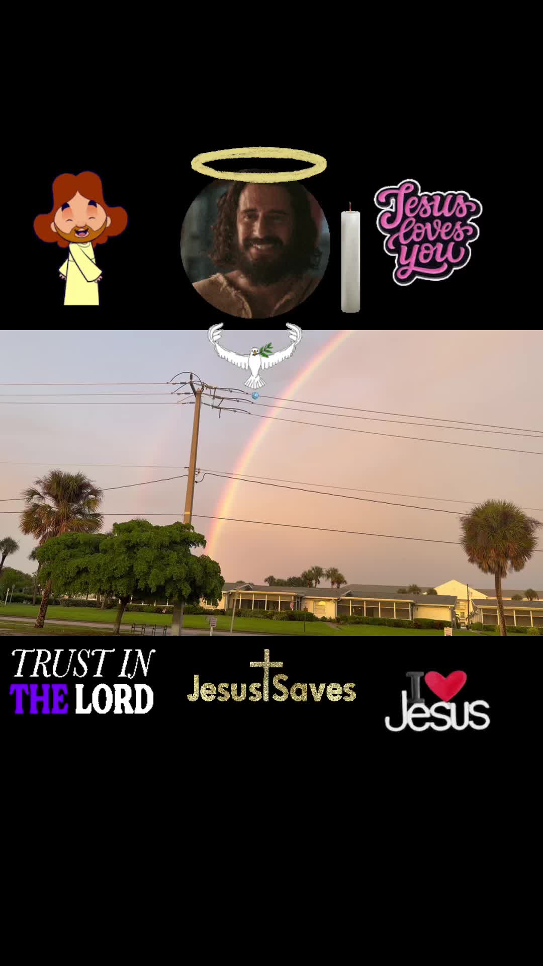 @guardian118D