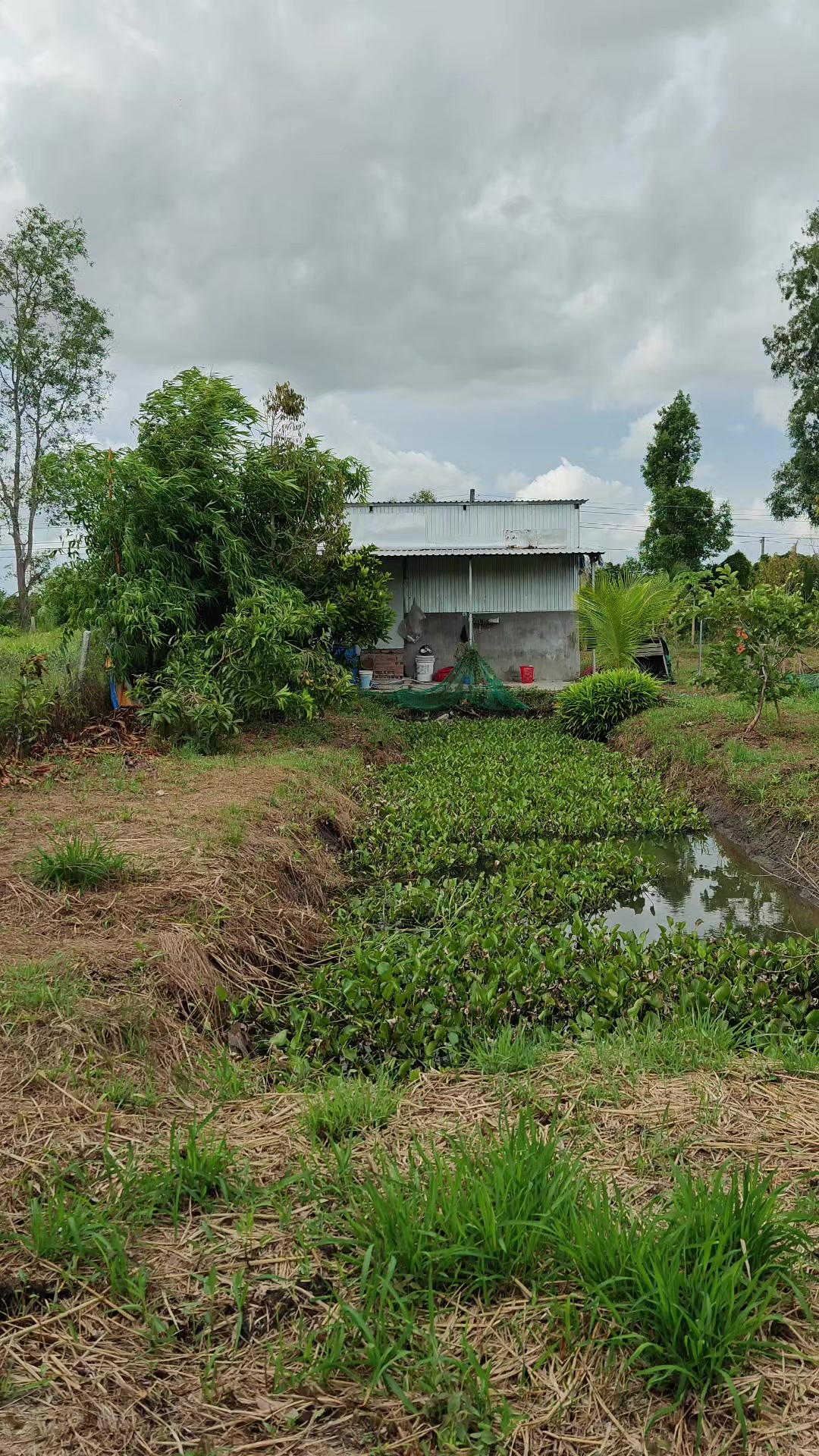 @Bất Động Sản Cần Thơ