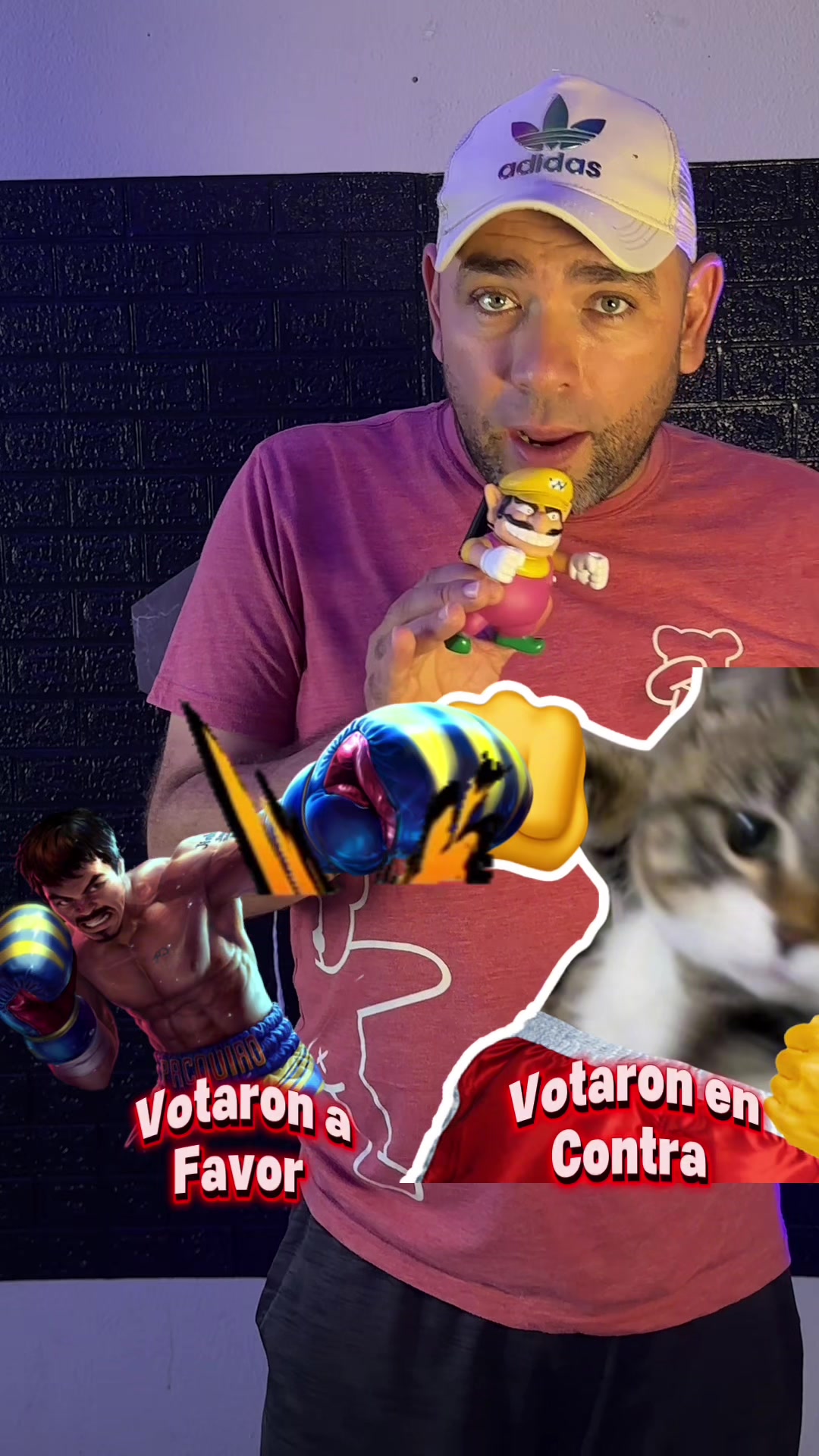 @El Gato