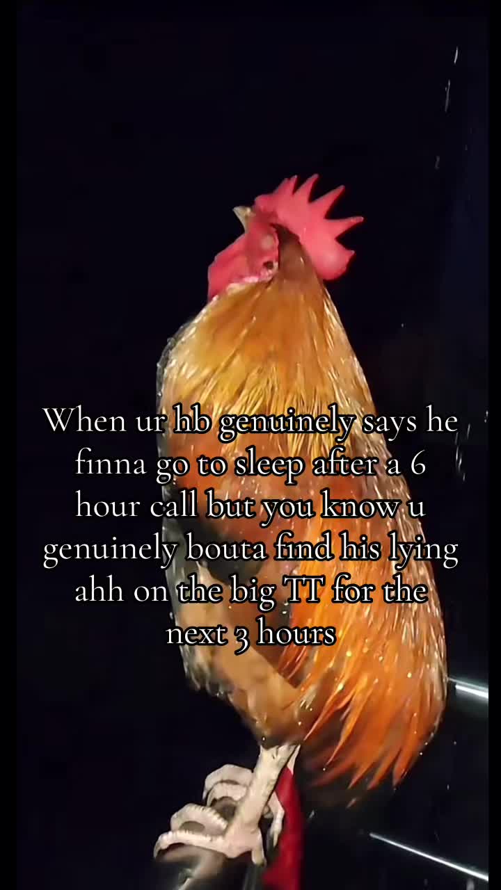 @chillguylowk1