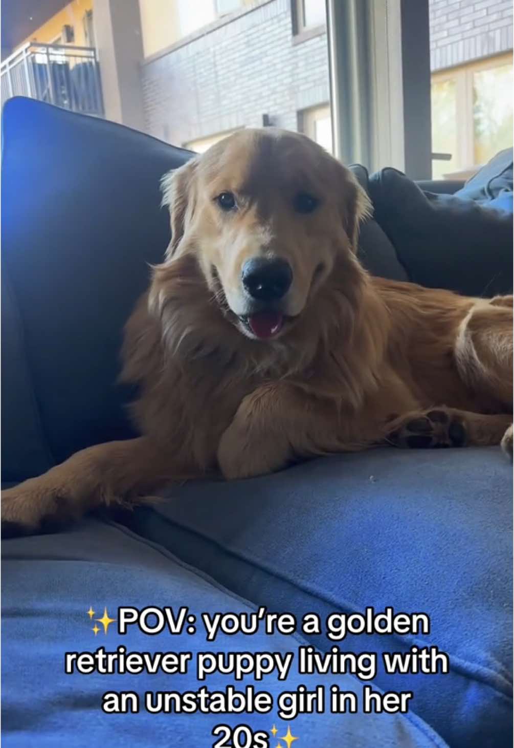 @rigatoni_thegolden