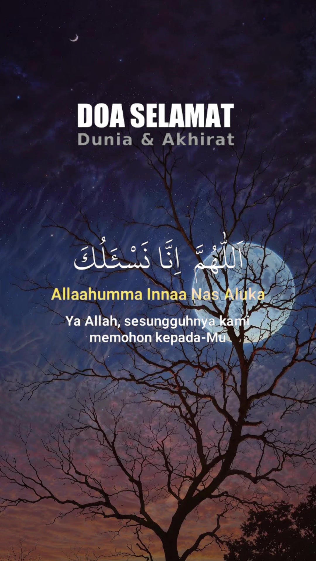 @Zaihani Hani
