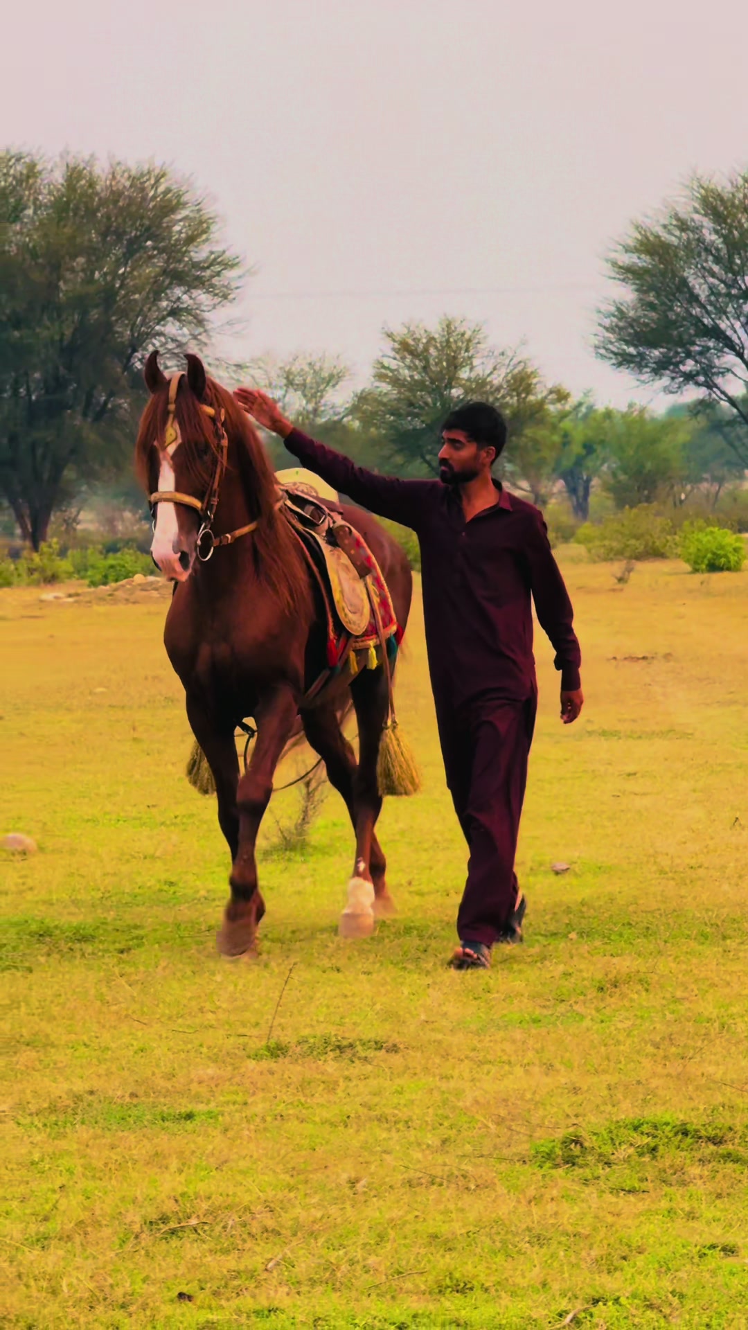 @Sameerx653