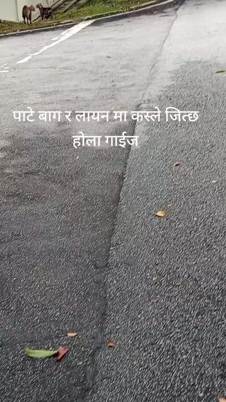 @Katuwal Shivaji