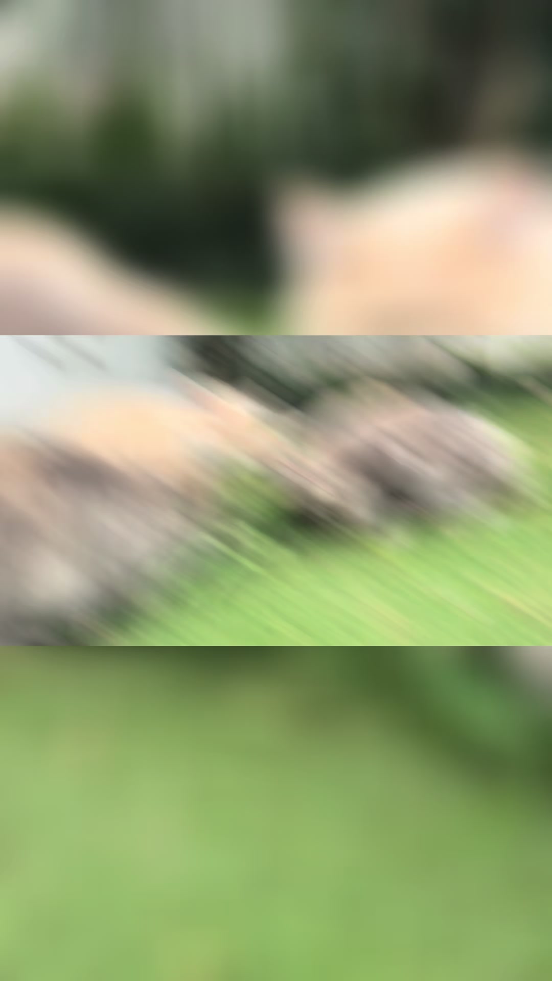 @coco