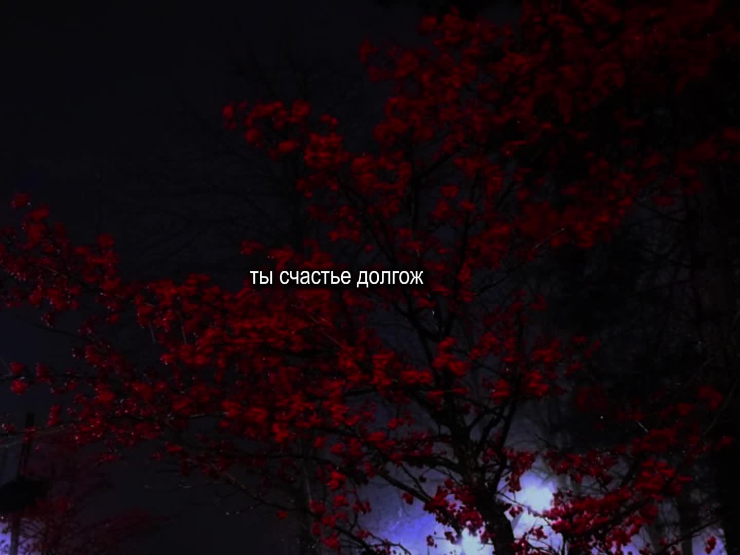 @🎧 МУЗЫКА ТИК ТОК 🎧