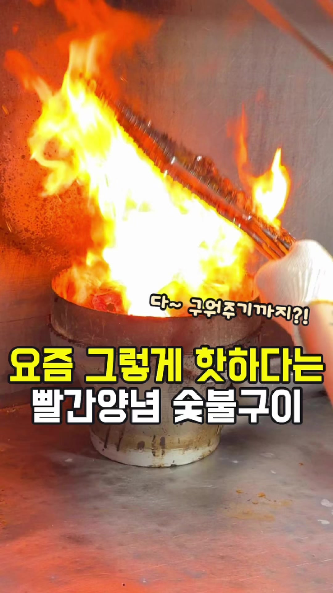 @대전토박이