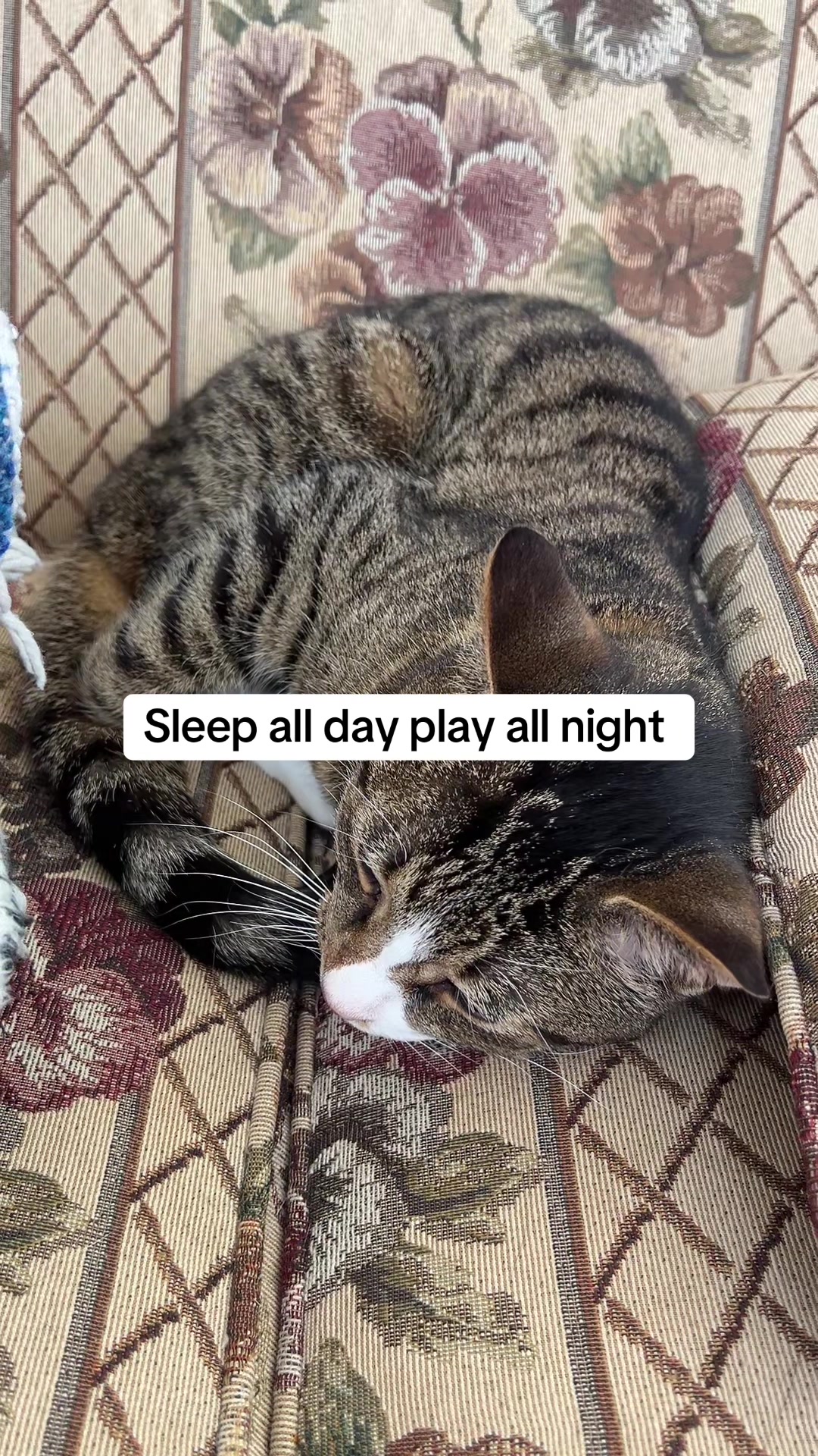@Tiggy